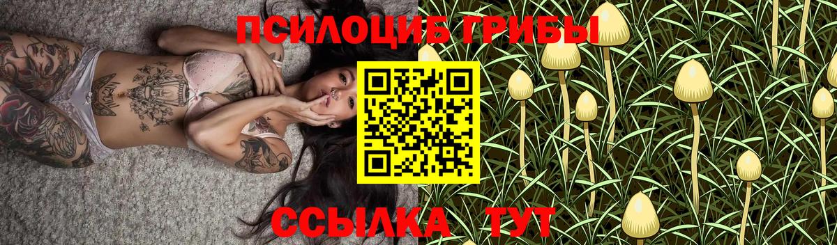 Галлюциногенные грибы Cubensis  Вход с VPN  Псилоцибиновые грибы ЛСД  Сальск 